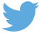 the logo for twitter